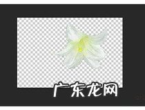 ps钢笔工具抠图教程 你学会抠图了吗