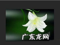 ps钢笔工具抠图教程 你学会抠图了吗