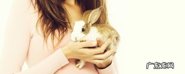 兔肉的功效