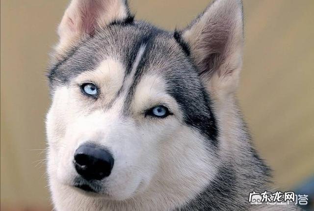 在工作上,颜值较高有哪些突出的优势?