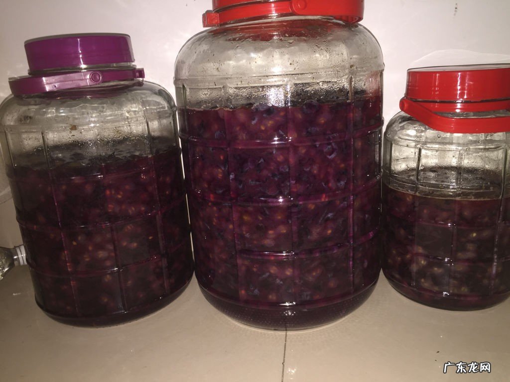 山葡萄酒的制作方法