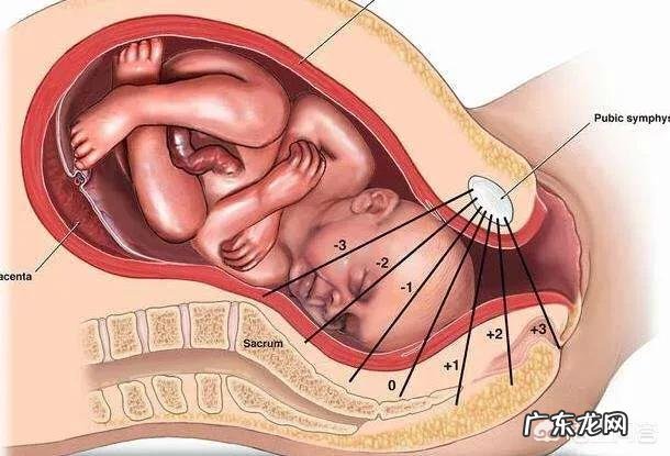 怀孕38周双顶径8.8,头围33.1,腹围34,股骨长6.8,正常吗?