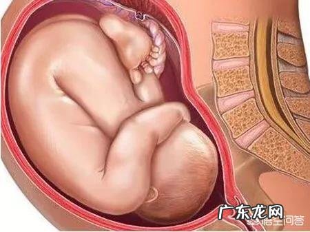 怀孕38周双顶径8.8,头围33.1,腹围34,股骨长6.8,正常吗?