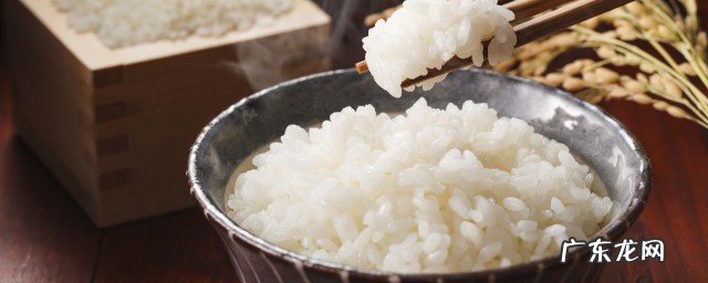 减肥是要多吃碳水吗