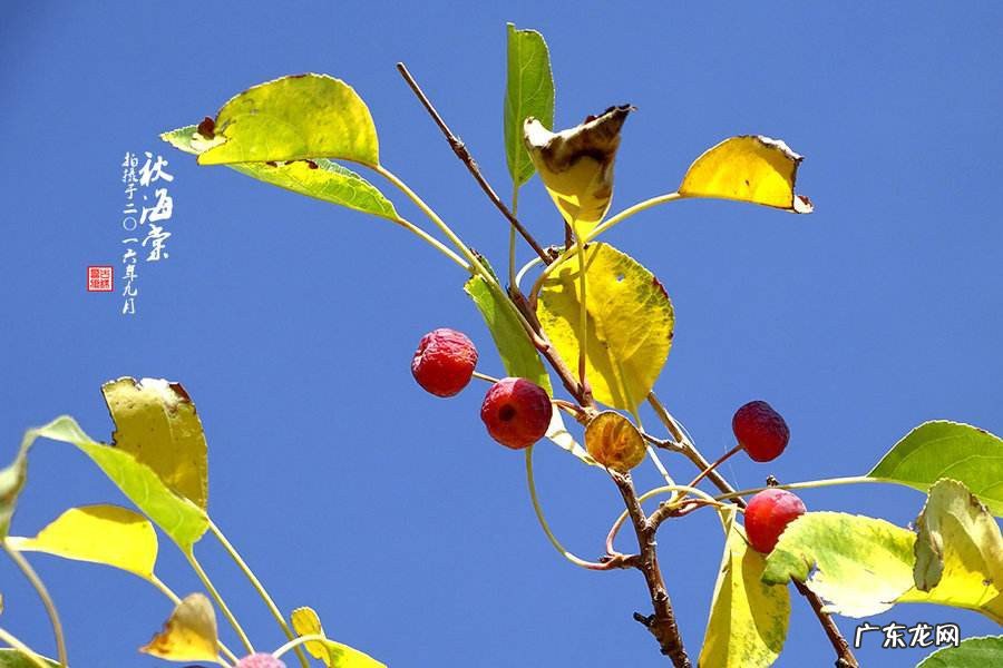 9月22日是什么日子