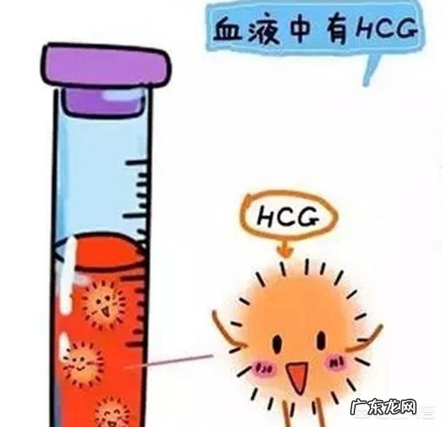 怀孕多少天做孕检?需要注意些什么?