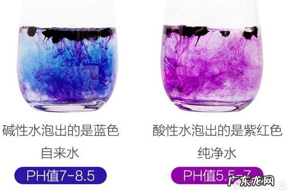 野生黑枸杞的作用？