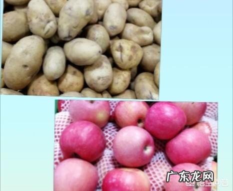 有哪些生活小常识分享的?