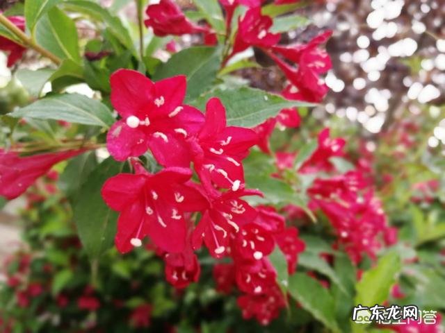 有哪些生活小常识分享的?