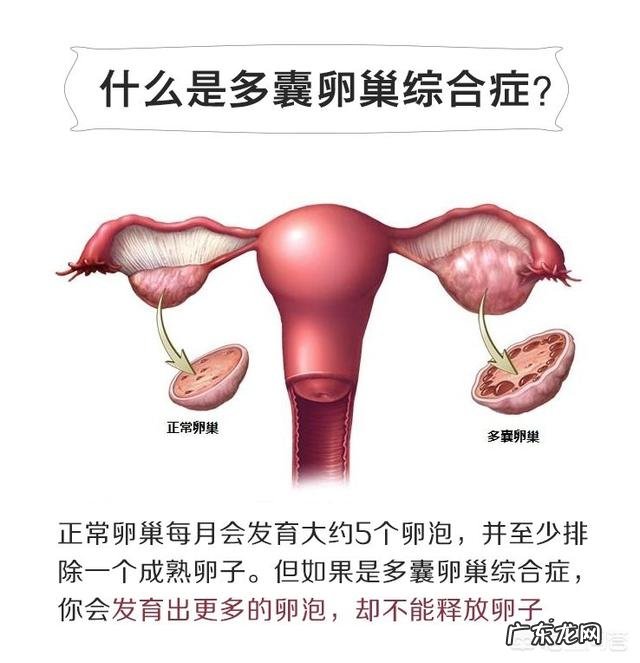 低碳减肥,月经不规律了怎么办?