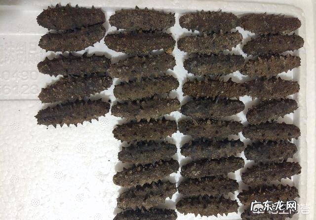 煮熟后的干海参应该怎么保存?