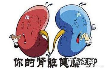 补肾的食物有哪些?适合哪些人食用?