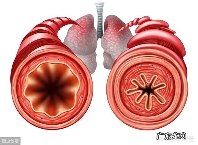 雾霾天气对肺部有什么危害?