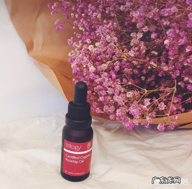 干燥性皮肤用什么牌子的护肤品不错?有什么推荐吗?