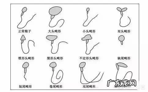 男方精子活力只有10%，能去做试管婴儿吗？