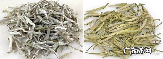 白毫银针与君山银针有什么区别?