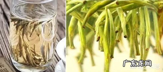 白毫银针与君山银针有什么区别?