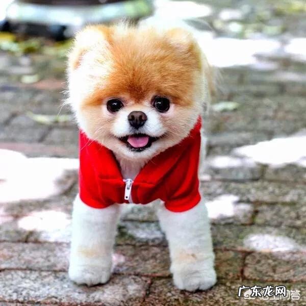 如何跟天蝎座女生相处?