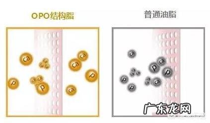 想给宝宝买奶粉，选哪款奶粉比较好？