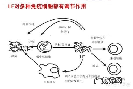 想给宝宝买奶粉，选哪款奶粉比较好？
