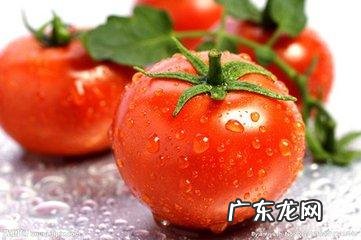夏季吃什么水果既有饱腹感又能减肥?