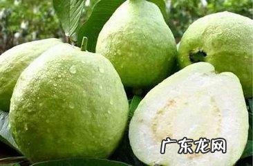 夏季吃什么水果既有饱腹感又能减肥？
