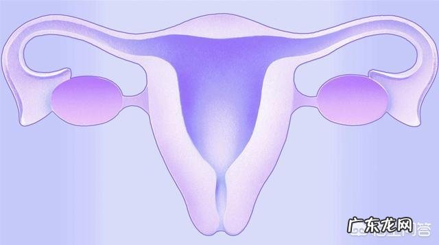 月经快两个月了没来了，什么原因？