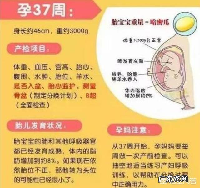 孕期产检应该注意哪些问题?