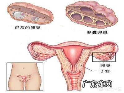 月经期间不能吃什么？