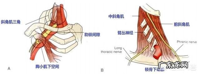 后背疼得厉害有可能是哪些原因导致的?该怎么办?