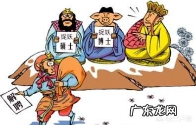 高中文凭能做啥？