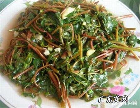 你们当地对野菜有哪些新奇好吃的做法?