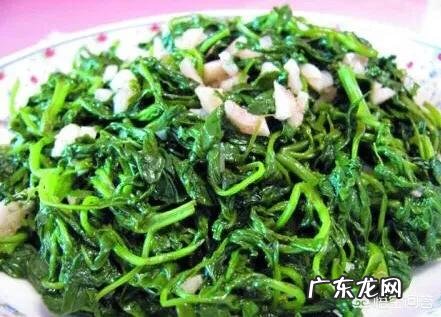 你们当地对野菜有哪些新奇好吃的做法?