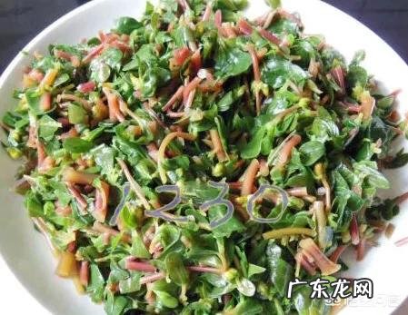 你们当地对野菜有哪些新奇好吃的做法?