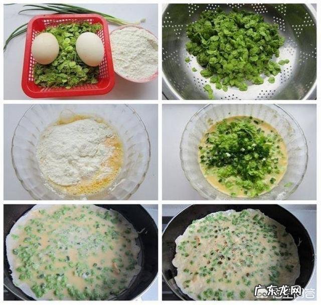 你们当地对野菜有哪些新奇好吃的做法?