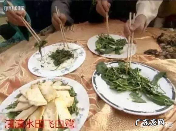 你们当地对野菜有哪些新奇好吃的做法？
