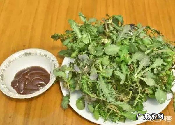 你们当地对野菜有哪些新奇好吃的做法?