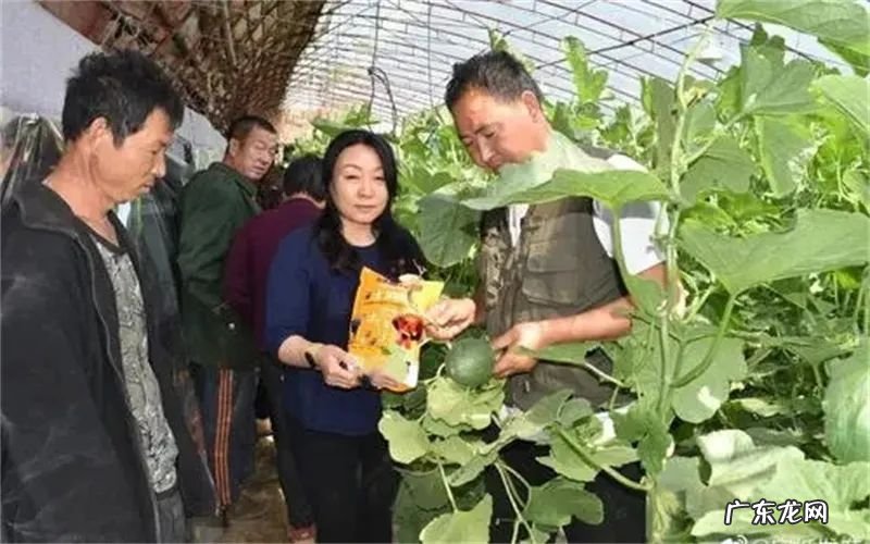 什么项目最赚钱最快 现在什么项目比较赚钱