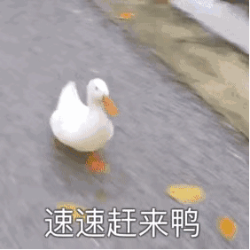 淘宝网丰胸文胸 淘宝网内衣文胸