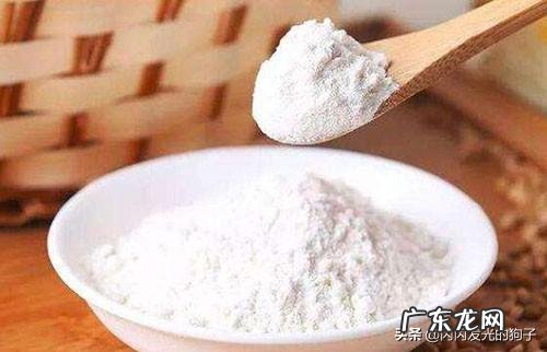 如何判断小狗感冒的症状?