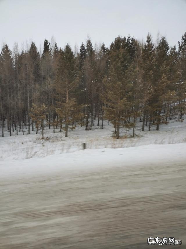 沙漠应不应该植树造林？