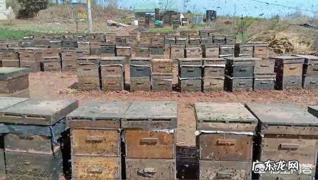 秋天大概什么温度停止秋繁?