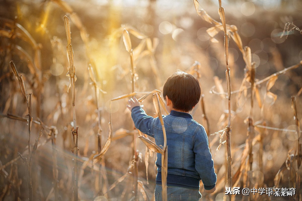 童年好词好句好段感悟 我的童年好词好句好段