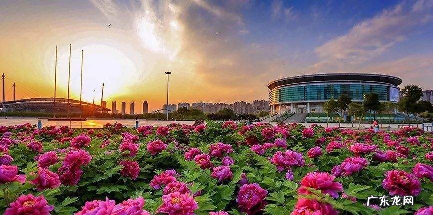 洛阳市旅游景点