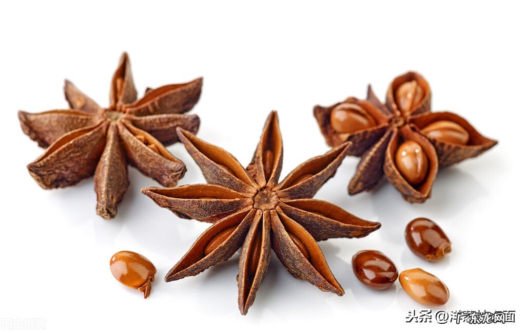 常用的炖肉香料汇总,很实用,赶紧学起来 炖肉调料大全