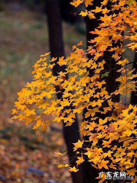 你有哪些经历过或听到过的悲伤的真实故事?