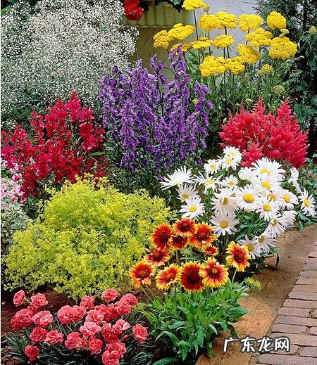 住宅风水设计装修这些风水常识必须了解之一“梅兰竹菊” 客厅风水禁忌梅兰竹菊