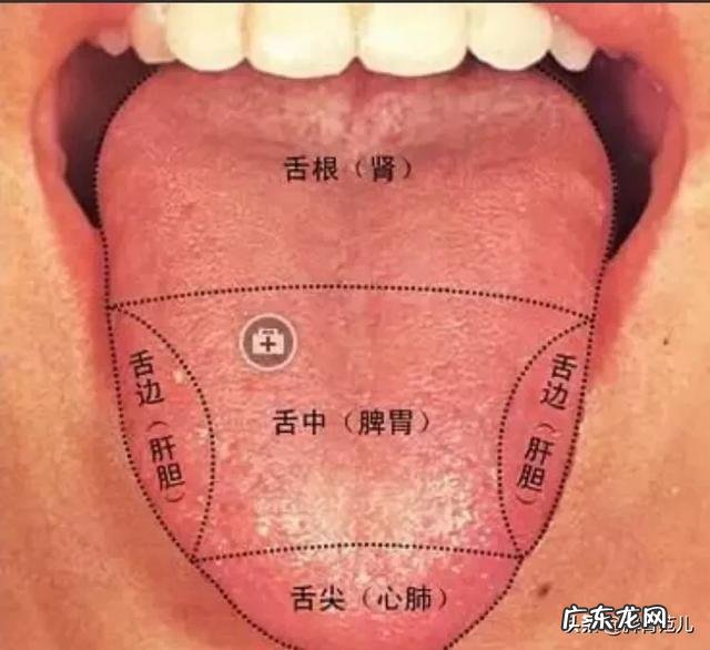知柏地黄丸的功效和副作用是什么?