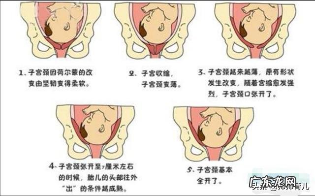 很多准妈妈都知道,生孩子要经历宫口从1指开到10指的过程,那开到几指会比较难熬呢?