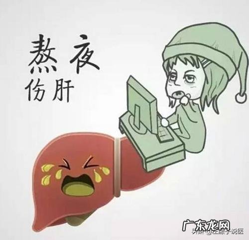 生活中有哪些养肝护肝的方法?